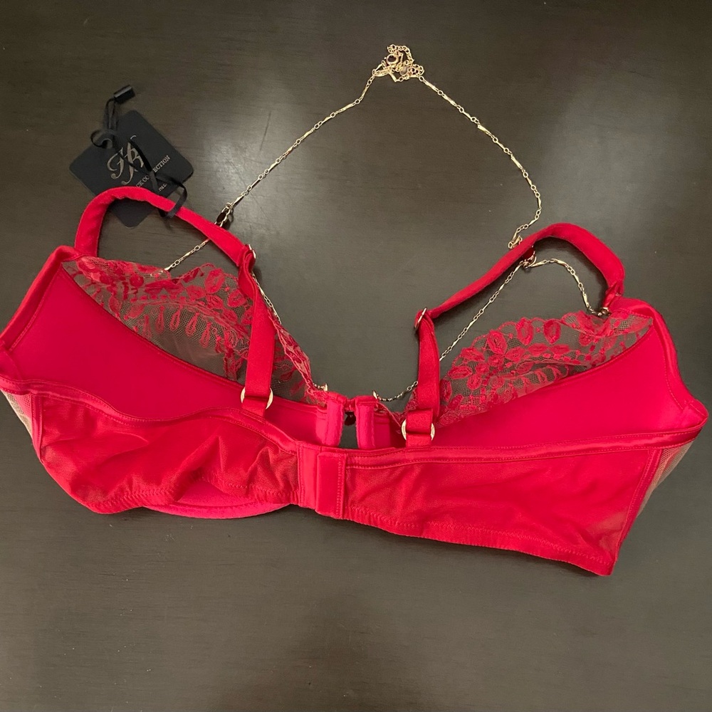 Honey Birdette Ruby Raspberry Bra - Picture 5 of 6